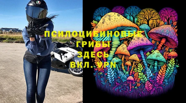 спайс Алексин