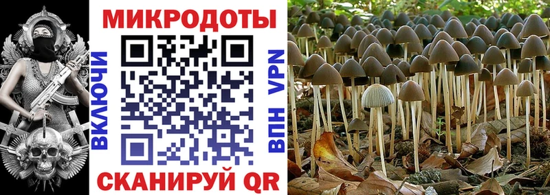 hydra ONION  Чаплыгин  Галлюциногенные грибы Cubensis 